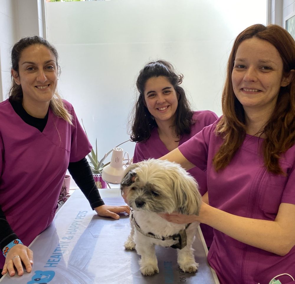 VetPartners España llega a la zona norte con la Clínica Veterinaria Ciudad Naranco