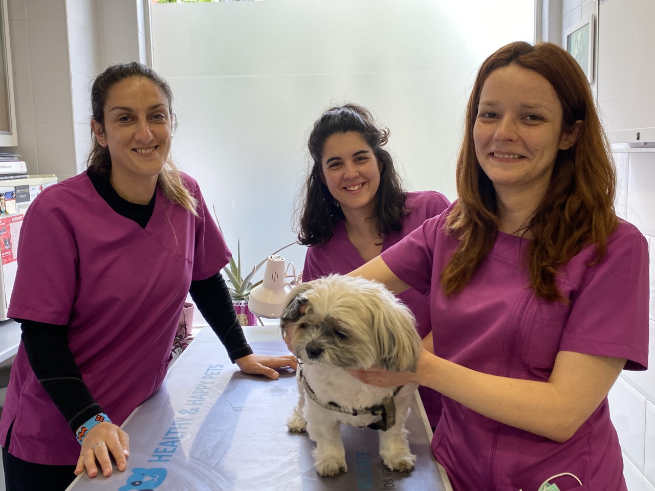 VetPartners España llega a la zona norte con la Clínica Veterinaria Ciudad Naranco