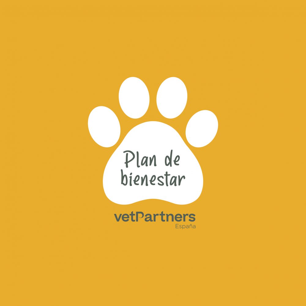 Plan de Bienestar VetPartners
