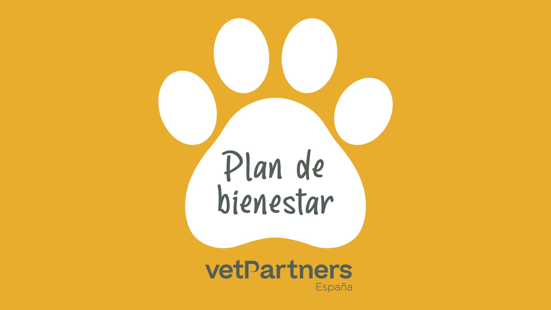 Plan de Bienestar VetPartners