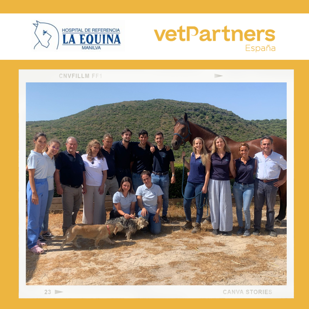 El Hospital de Referencia La Equina se convierte en el primer hospital equino en unirse a VetPartners España