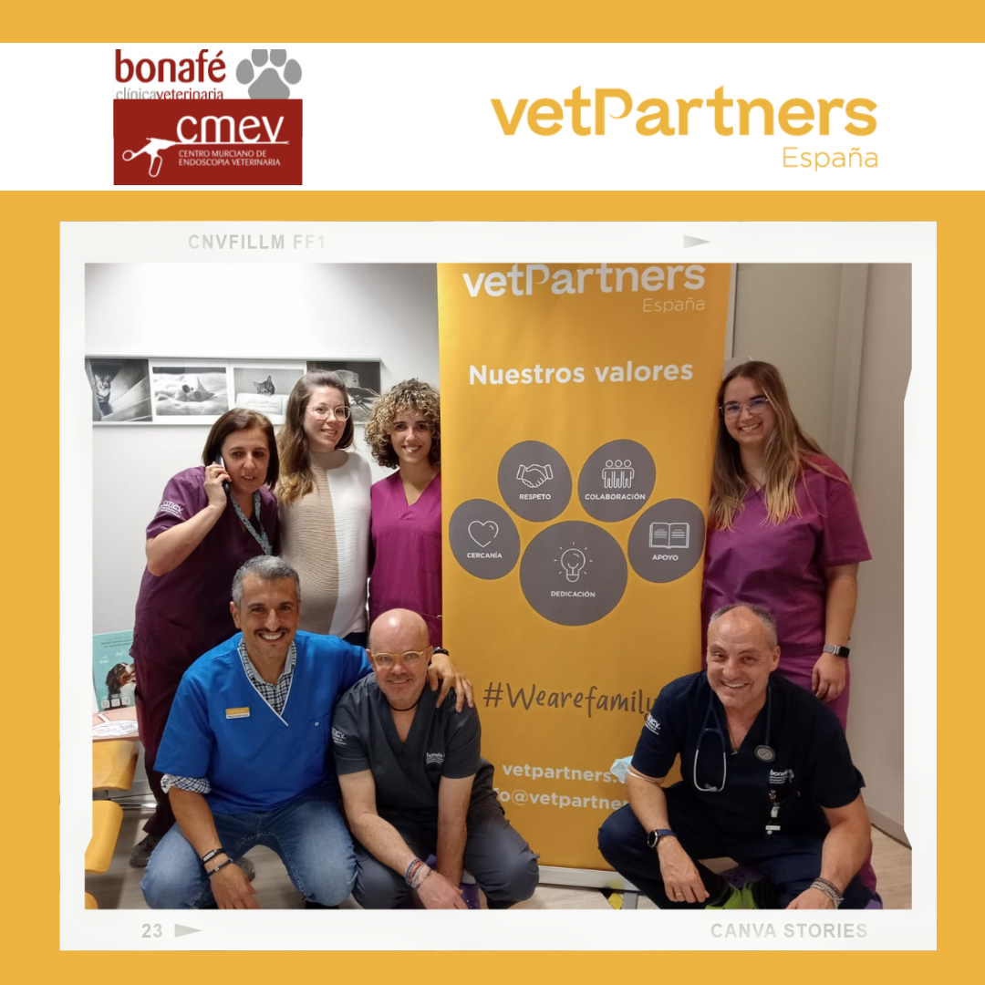 La Clínica Veterinaria Bonafé y el Centro Murciano de Endoscopia Veterinaria se incorporan al grupo