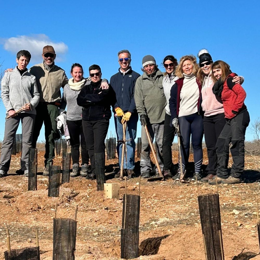 Juntos plantamos un árbol, primera actividad de RSC de VetPartners en España