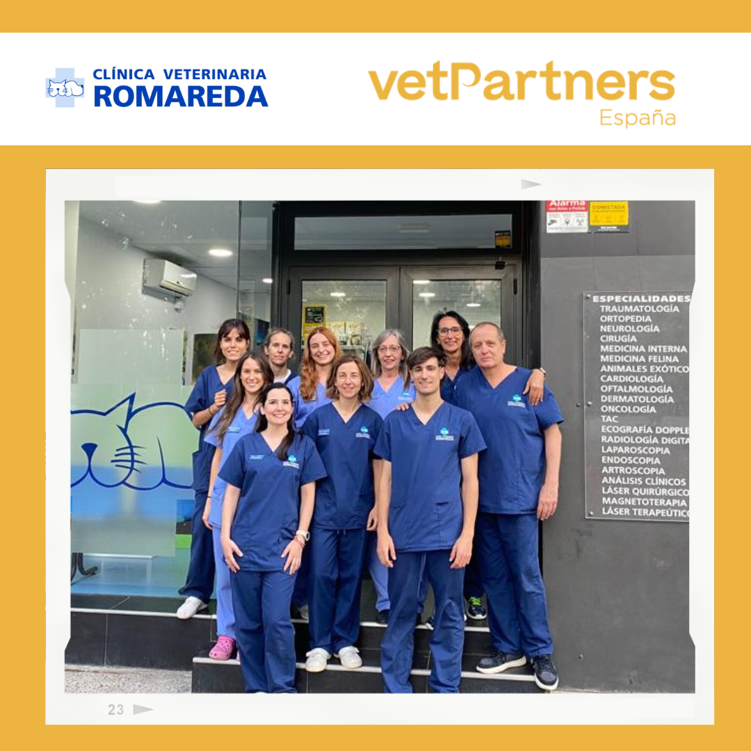 VetPartners aterriza en Zaragoza de la mano de Clínica Veterinaria Romareda