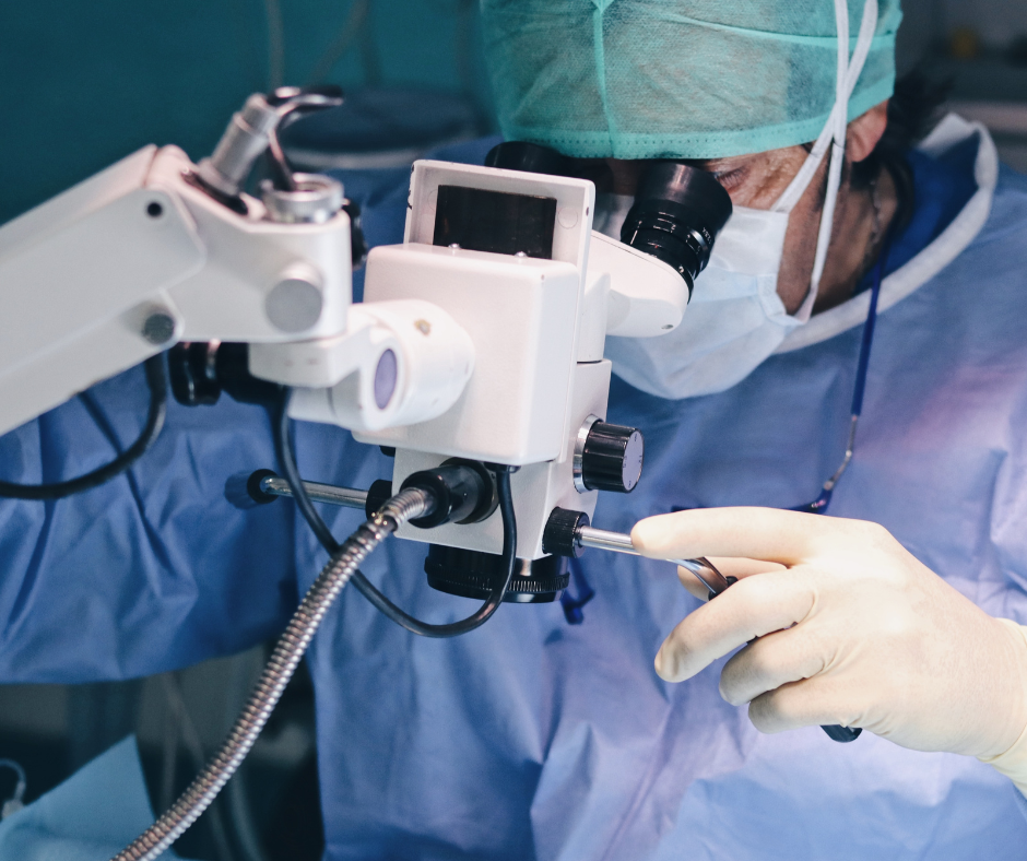 VetPartners España lanza VetAcademy: una academia para veterinarios y auxiliares clínicos veterinarios