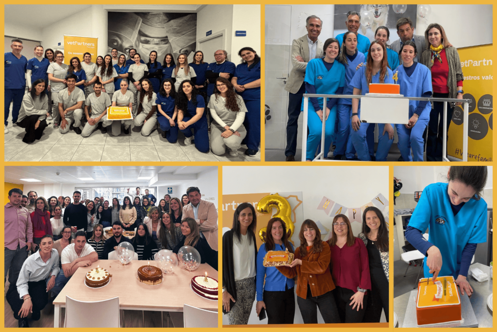 Familia VetPartners Iberia está de celebración: 4 años en España y 3 en Portugal