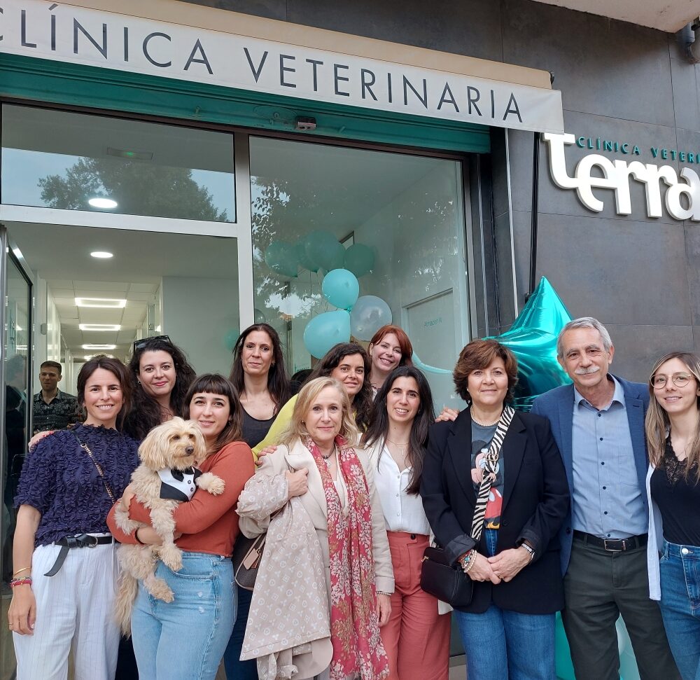Clínica Veterinaria Sedaví y Clínica Veterinaria Terra Catarroja resurgen tras la DANA